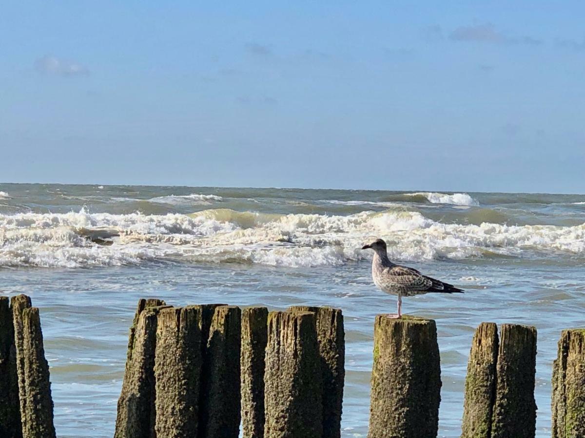 Appartementen De Strandloper Bergen aan Zee Kültér fotó